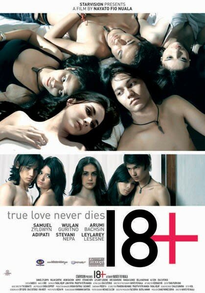 18+ (2010)