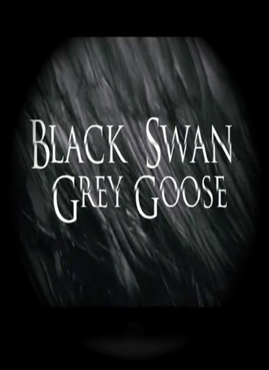 Чёрный лебедь, серый гусь (2011)