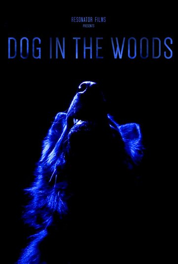 Dog in the Woods (2019)